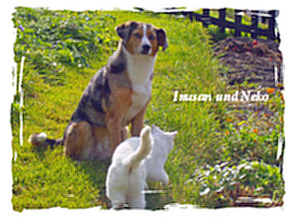 Inusan und Neko