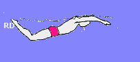Delfin in Bewegung